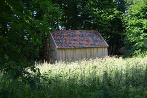 Foto 9 van het album Nieuwbouw schuur oude stijl in Dwingeloo